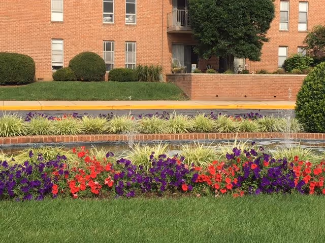 Photo 4 of Brooklawn Apartments