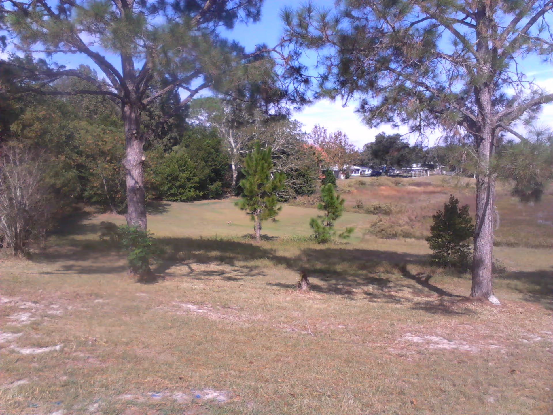 Photo 6 of A Great Place to Stay AFCH