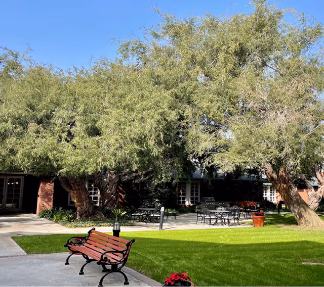 Photo 5 of Carmel Village Retirement Community