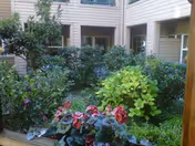 Photo 7 of Tiffany Court of Walnut Creek