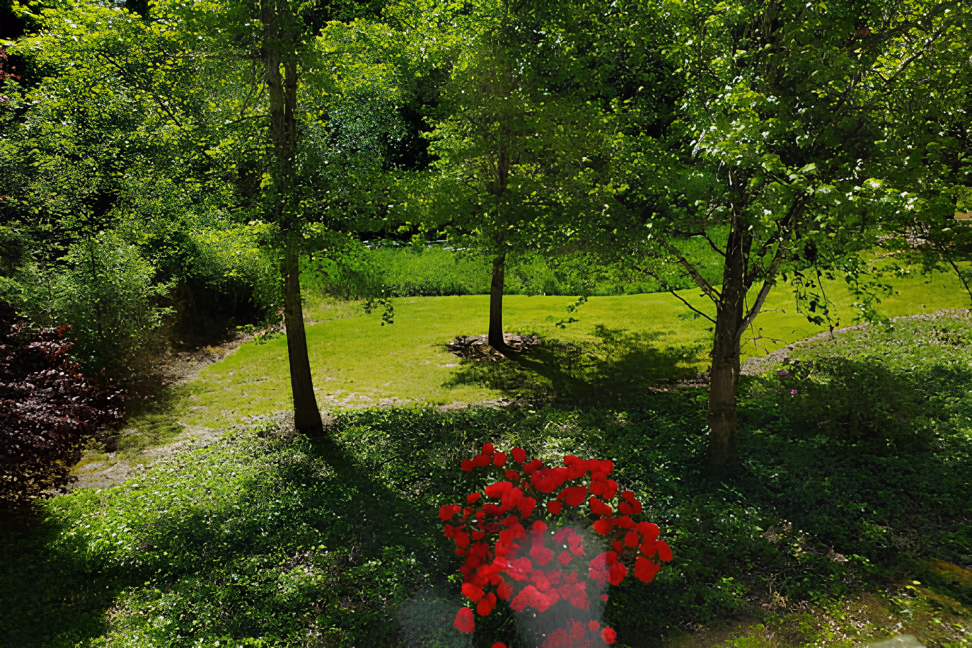 Photo 3 of Avamere at Park Place