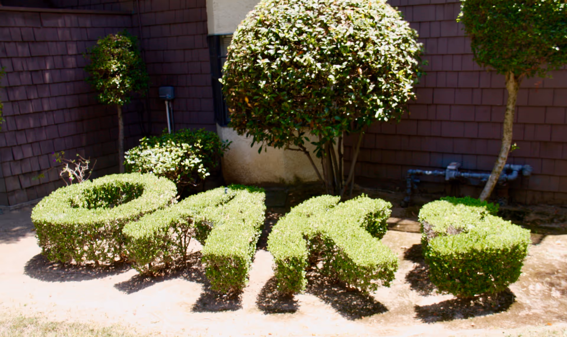 Photo 5 of Oaks of Pasadena