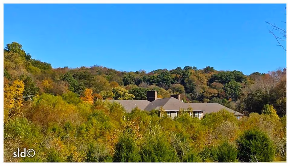 Photo 10 of Canterfield Senior Living