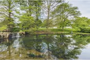 Photo 12 of Cokesbury Village