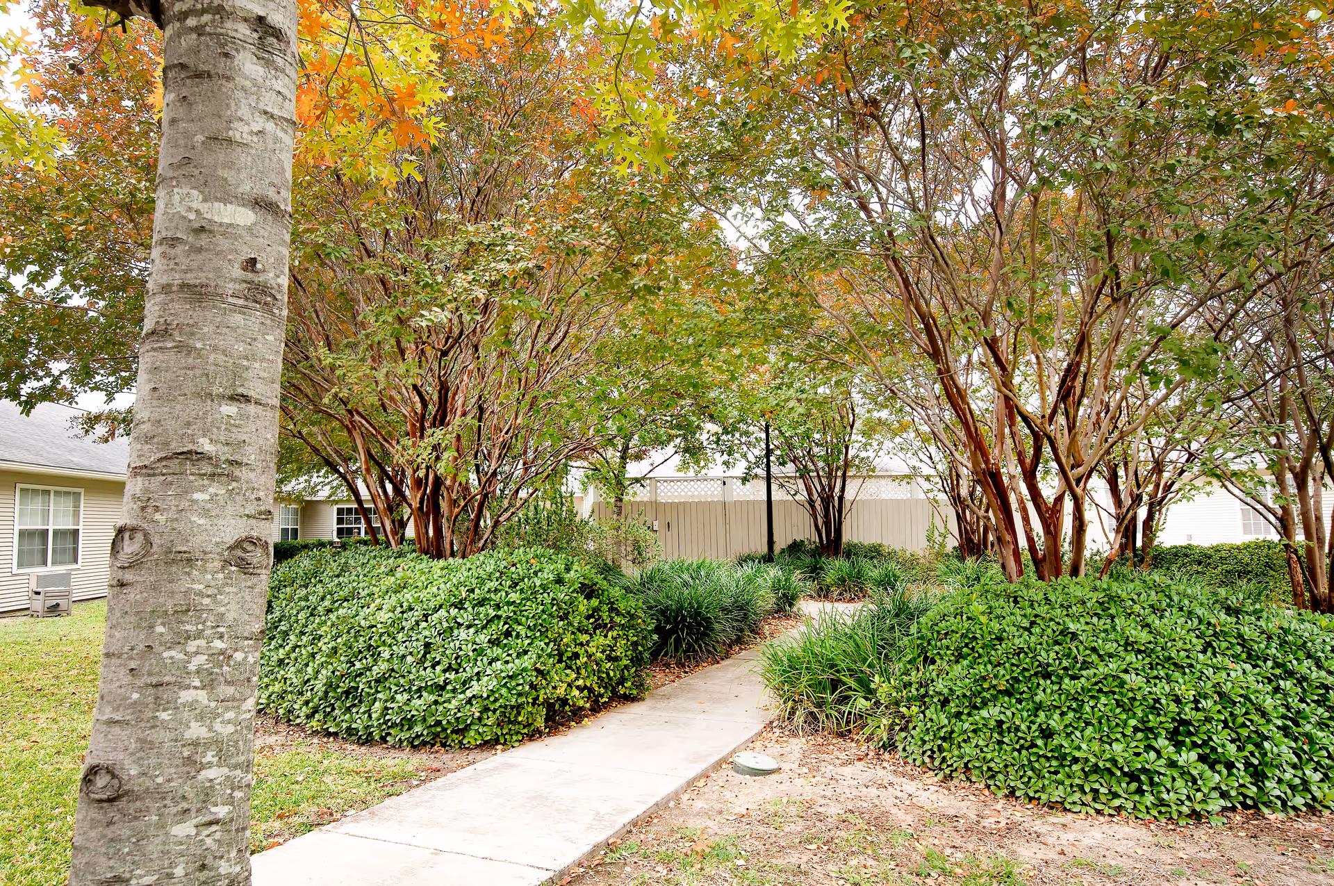 Photo 4 of Brookdale Hollywood Park