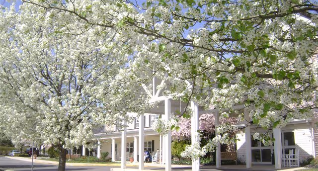 Photo 4 of Washington Township Senior Living
