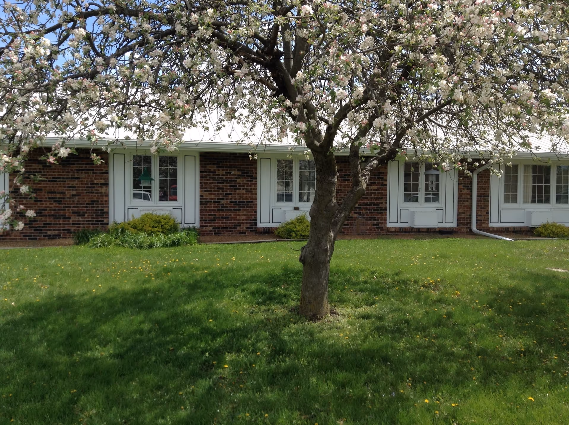 Photo of Holden Manor Health & Rehabilitation