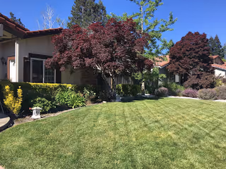 Photo 5 of BlueMeadow Care