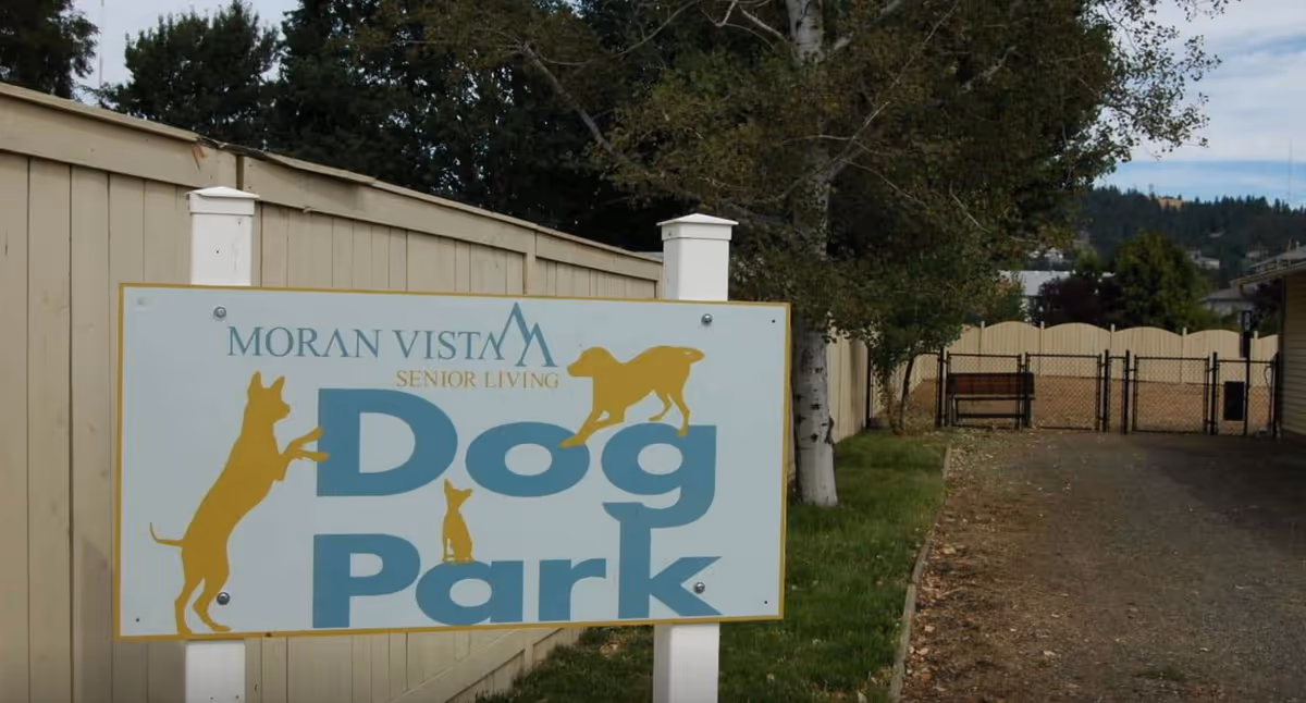 Photo 16 of Vineyard Park of South Hill