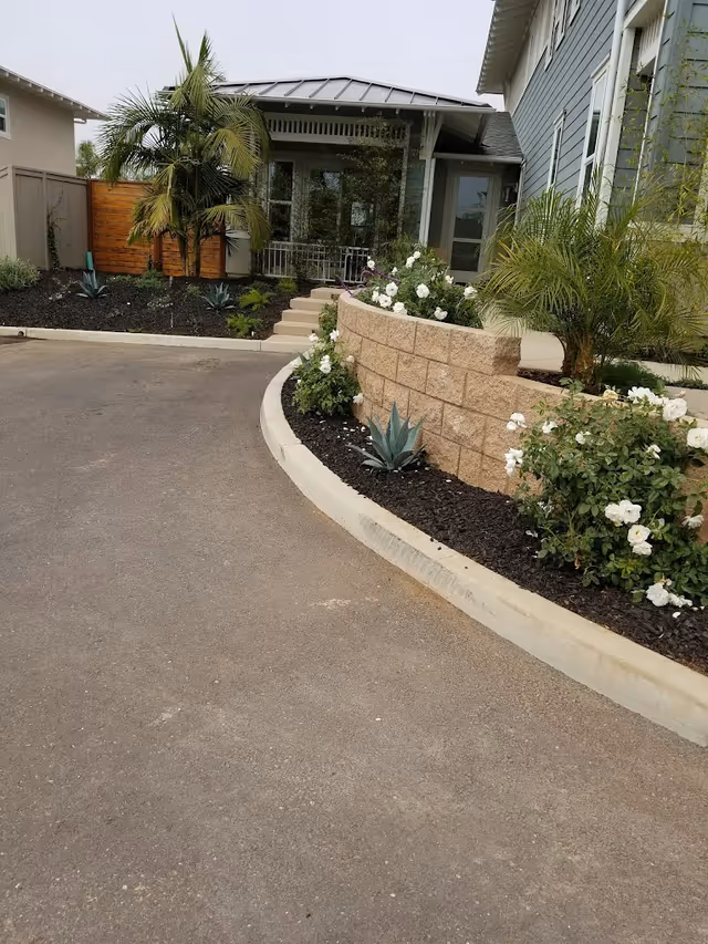 Photo 11 of Rose Garden
