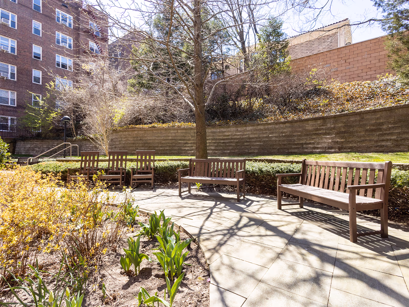 Photo 4 of Atria Forest Hills