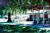 Photo of The Meadows