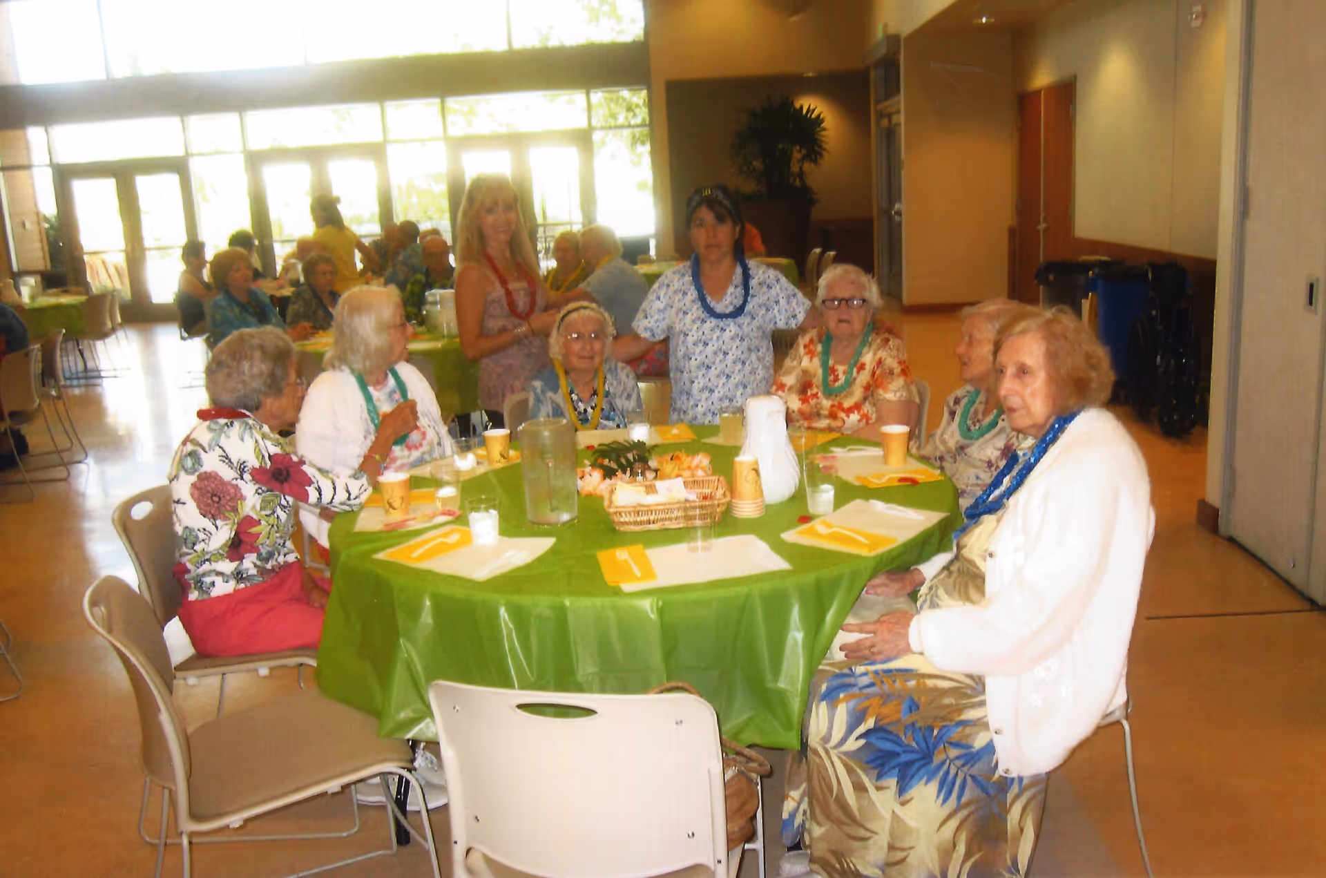 Photo 4 of Comfort And Care For The Elderly