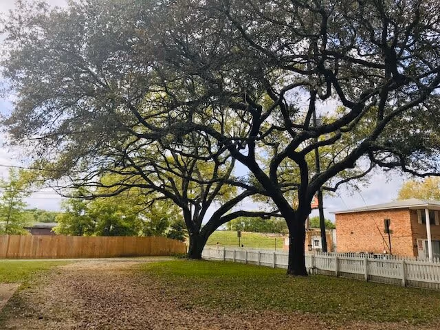 Photo 17 of FL Memory Lane