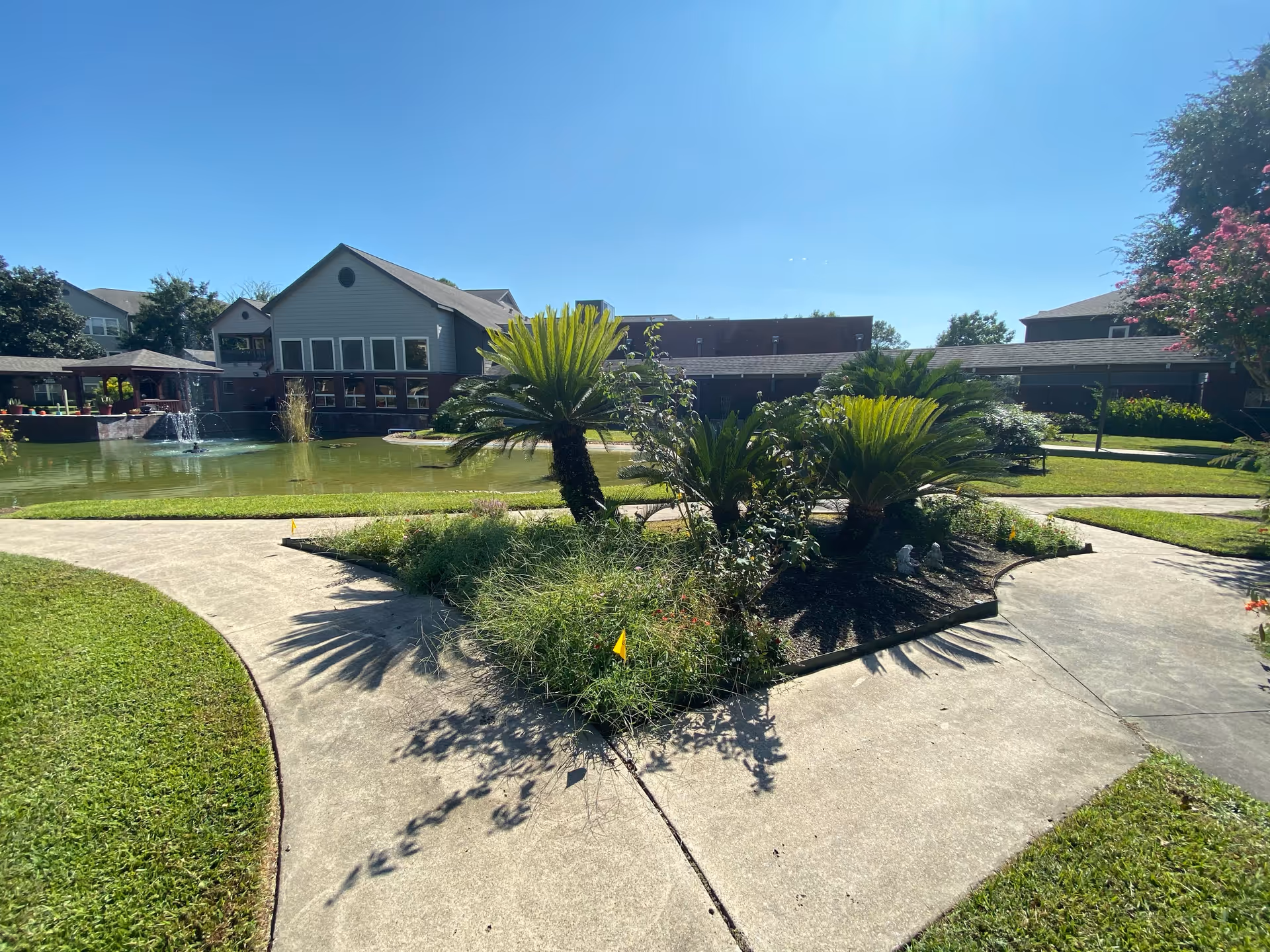 Photo 7 of Lone Star Living