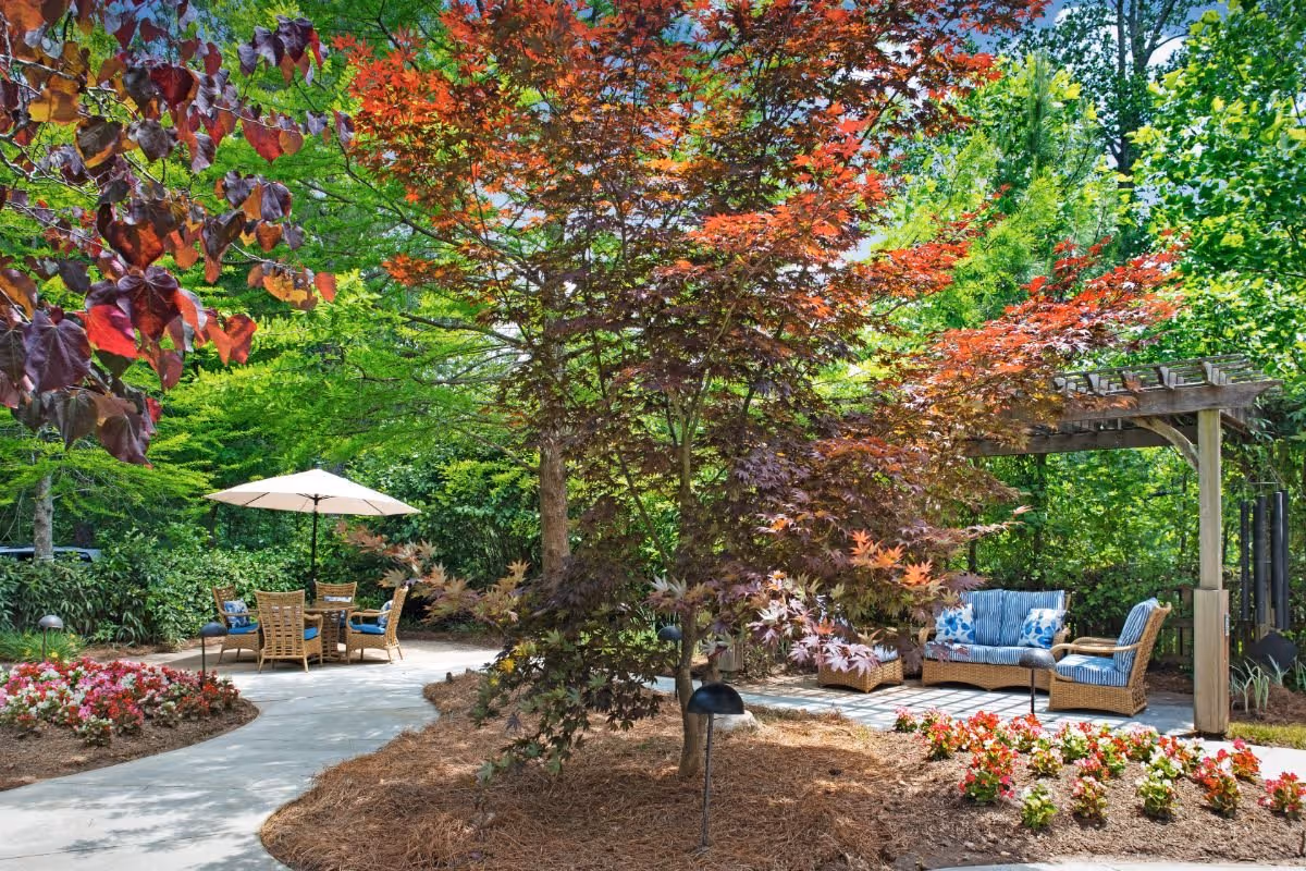 Photo 3 of Sunrise of Johns Creek