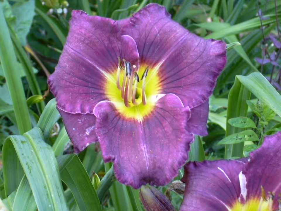 Photo 7 of BlueMeadow Care
