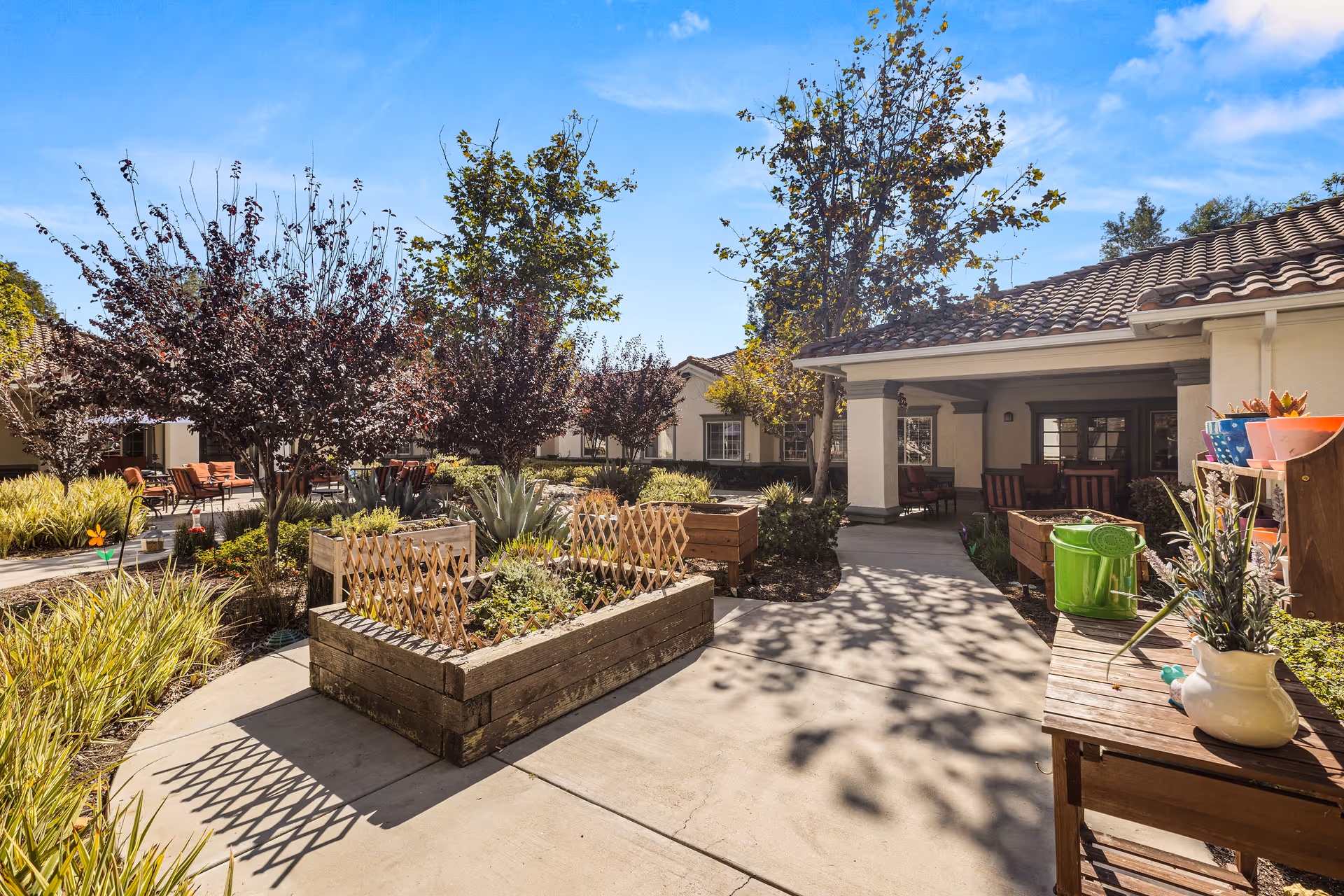 Photo 9 of Ivy Park at Mission Viejo