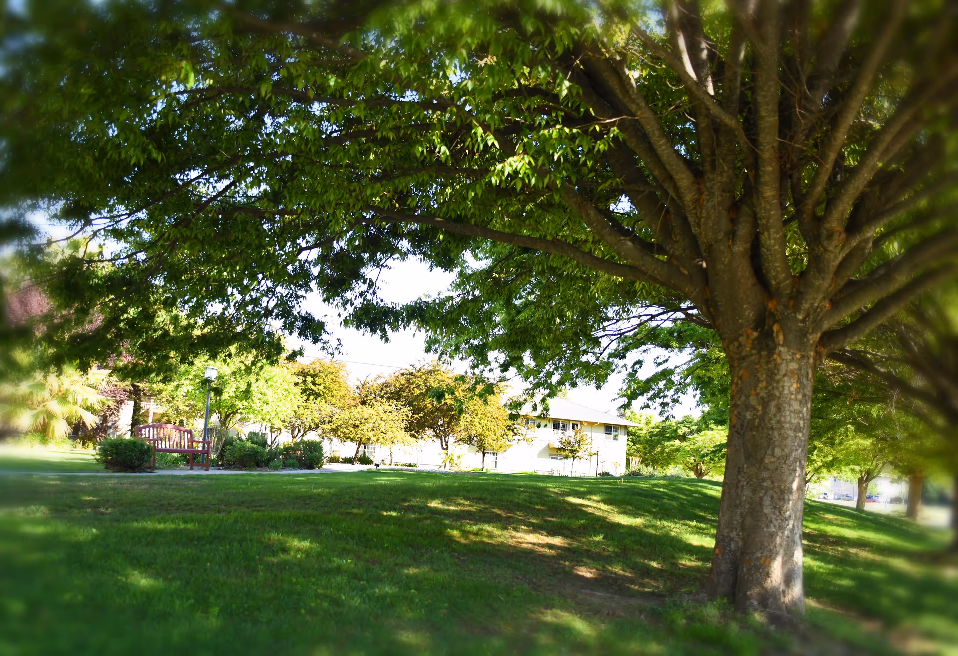 Photo 8 of Oakdale Heights Assisted Living