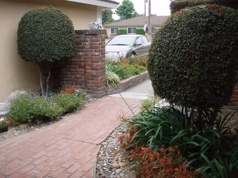 Photo 2 of Back to Eden Care Home