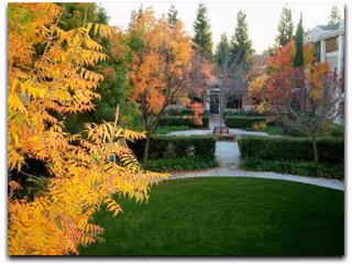 Photo 6 of The Terraces of Los Gatos