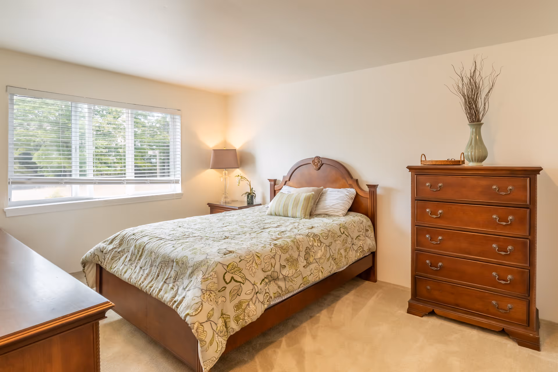 Photo 17 of Creekside at Shallowford - A Provincial Senior Living Community