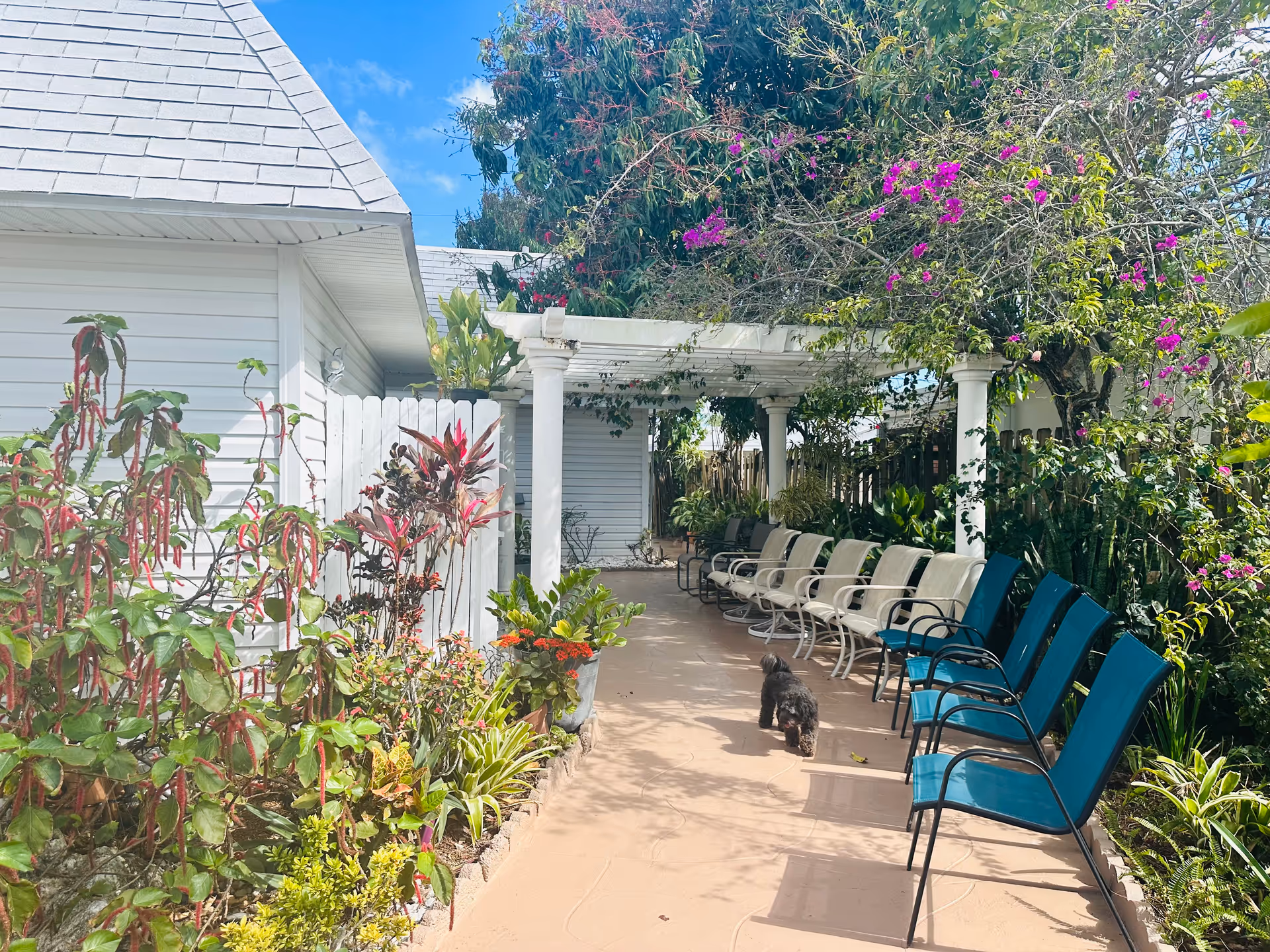 Photo of Open Heart Retirement Home