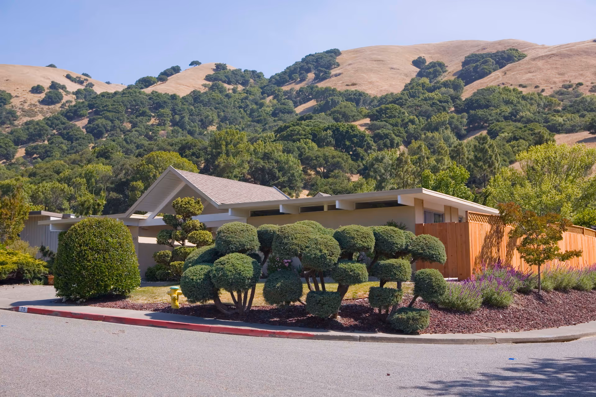 Photo of Lucas Valley Lodge