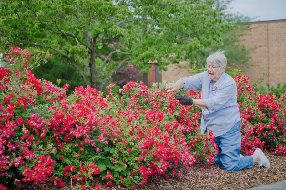 Photo 5 of Steadman Hill Assisted Living