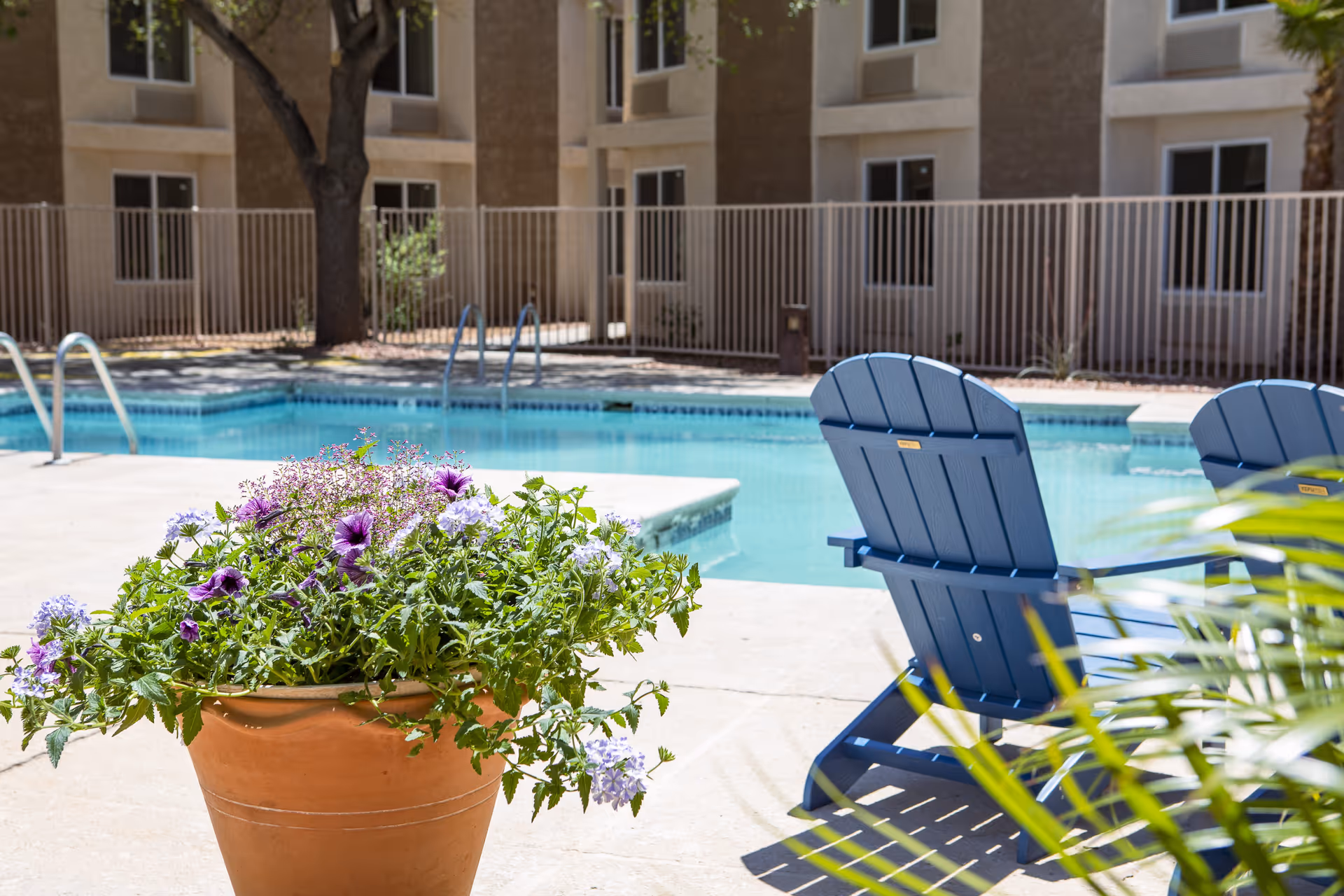 Photo 11 of Hummingbird Senior Resort Living