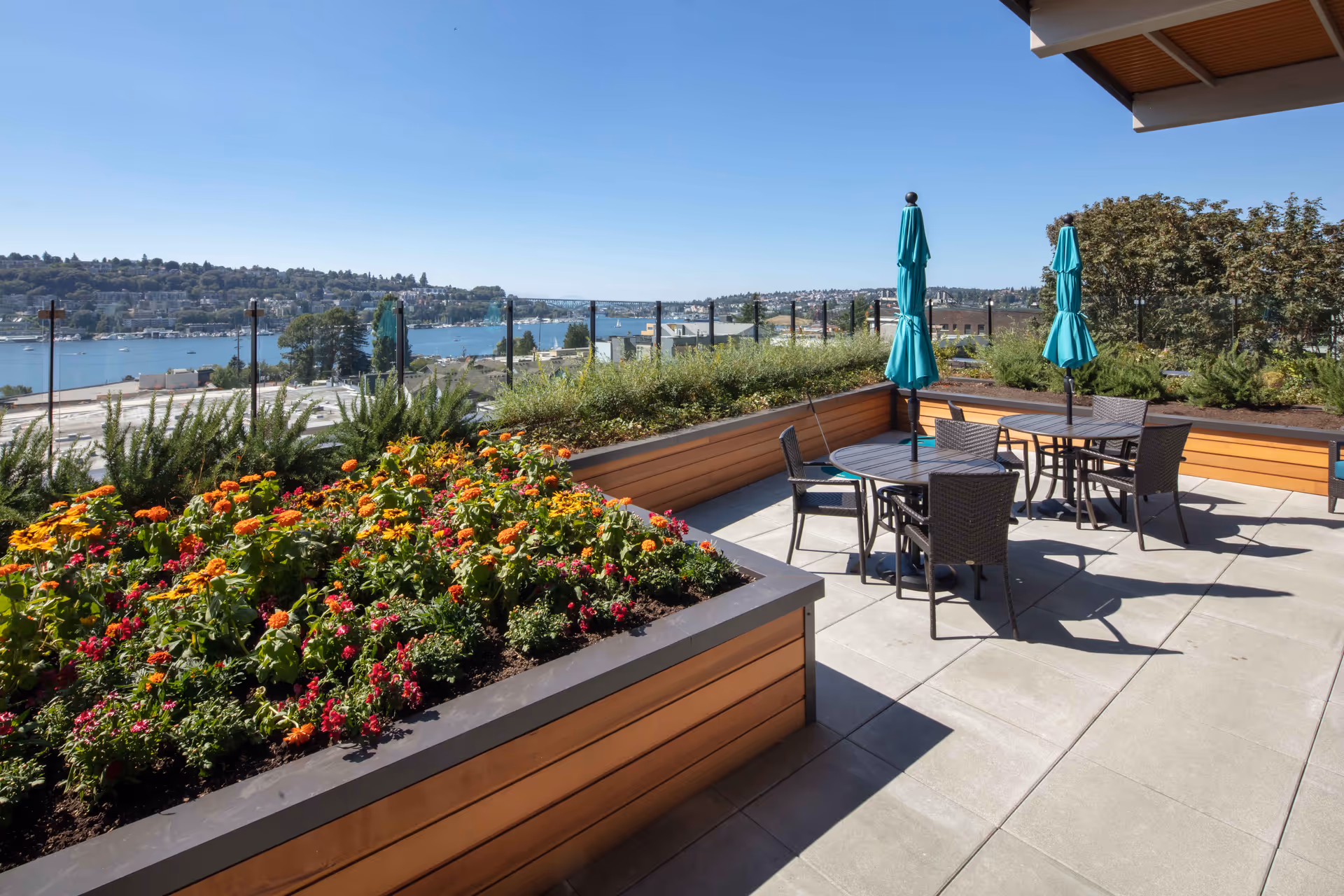 Photo 8 of Aegis Living Lake Union