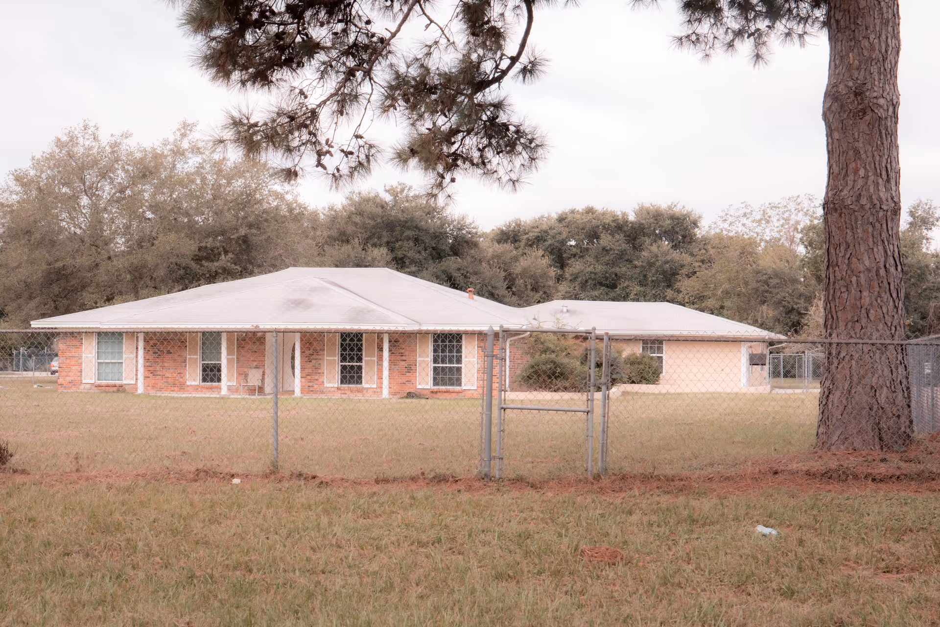 Photo 2 of Down Home Blessed Care
