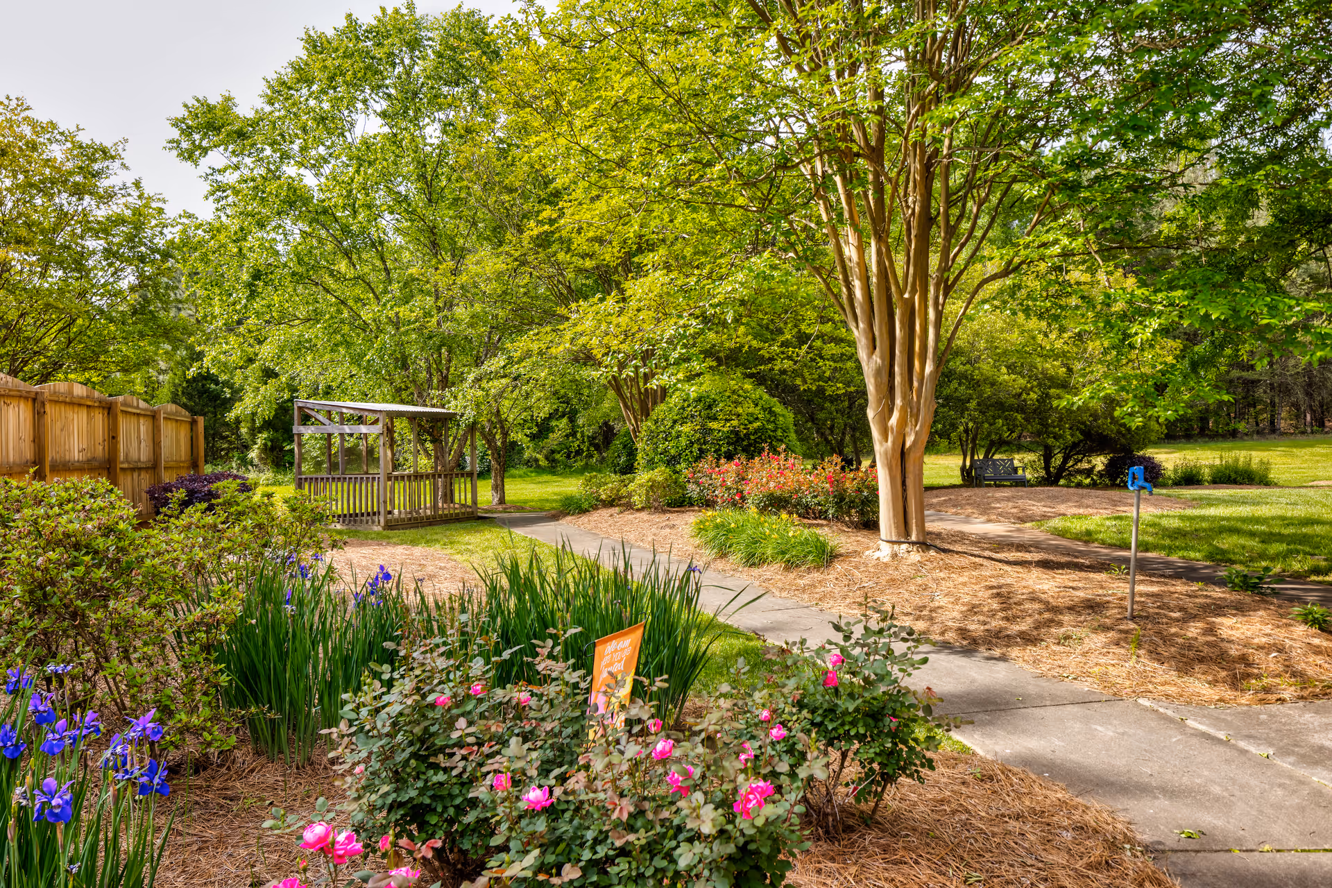 Photo 6 of TerraBella Salisbury