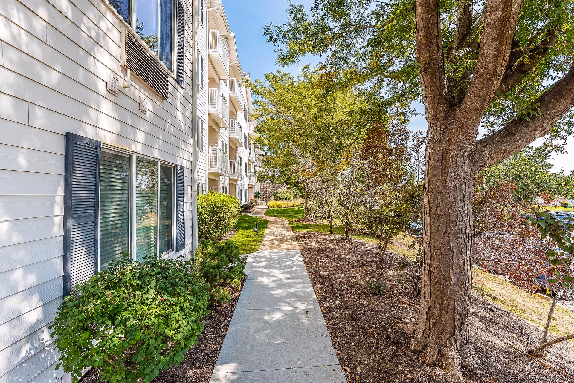 Photo 8 of Solstice Senior Living at Columbia