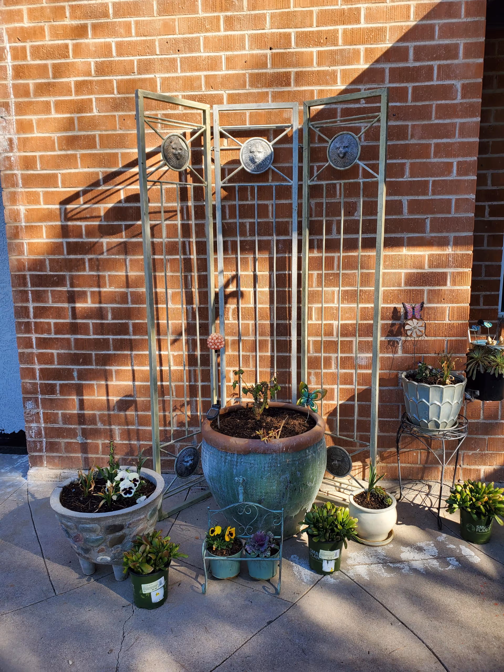 Photo 4 of Kozy Gardens Assisted Living