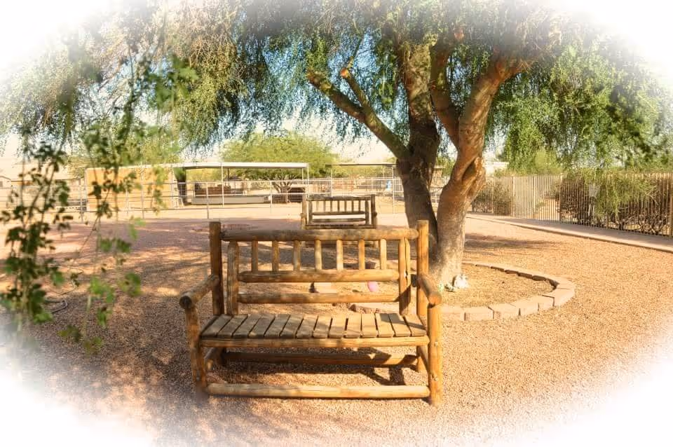 Photo 6 of Grace Hill Ranch ALH