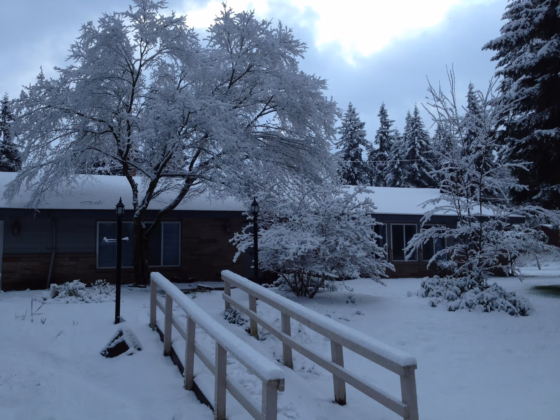 Photo of Royal Manor AFH