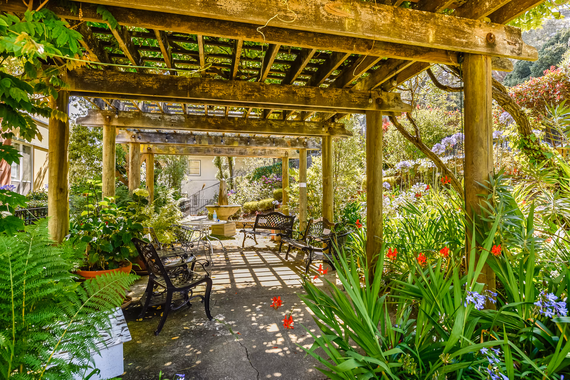 Photo 6 of Buena Vista Manor House