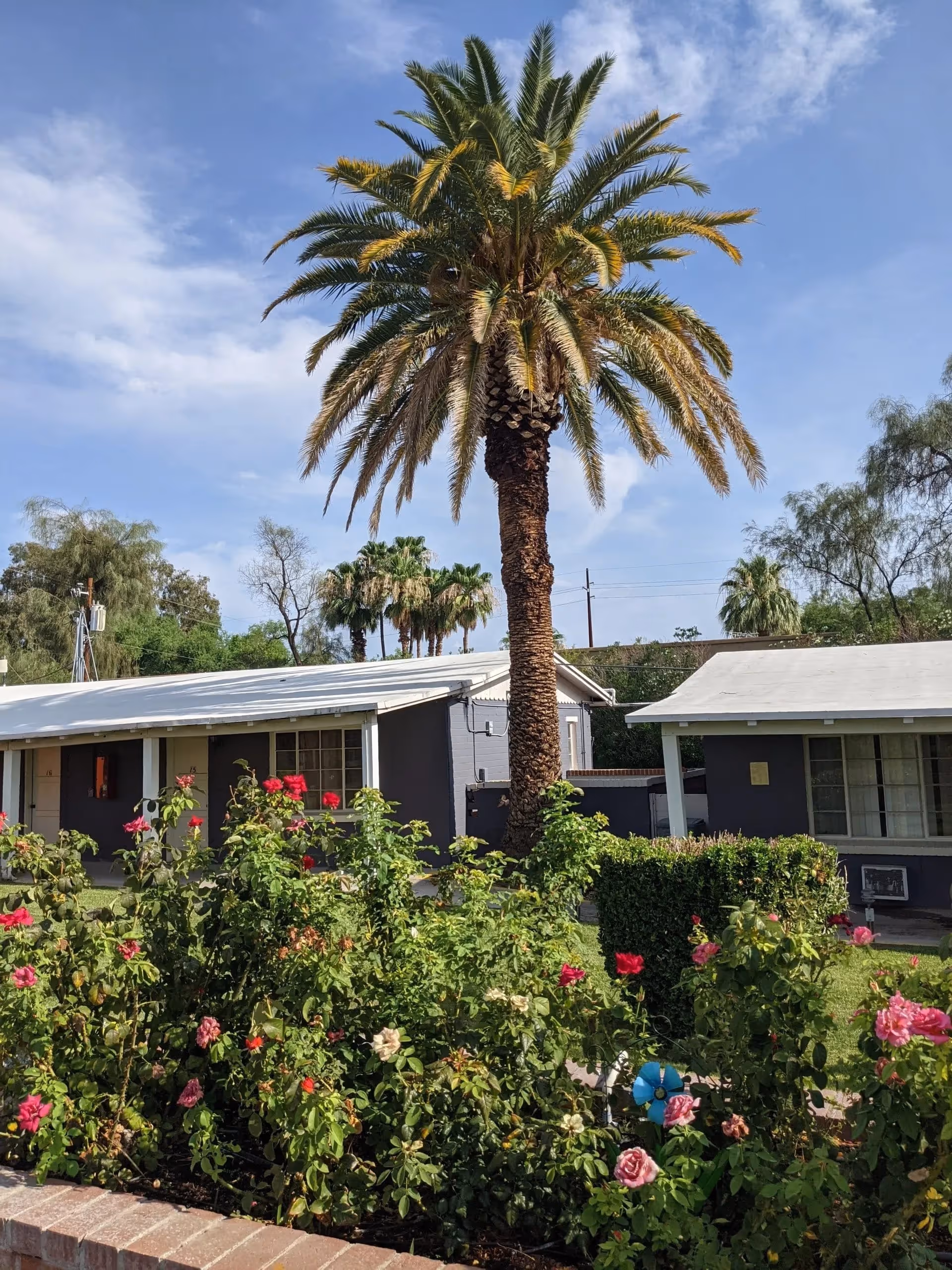 Photo 4 of The Oasis Assisted Living Community