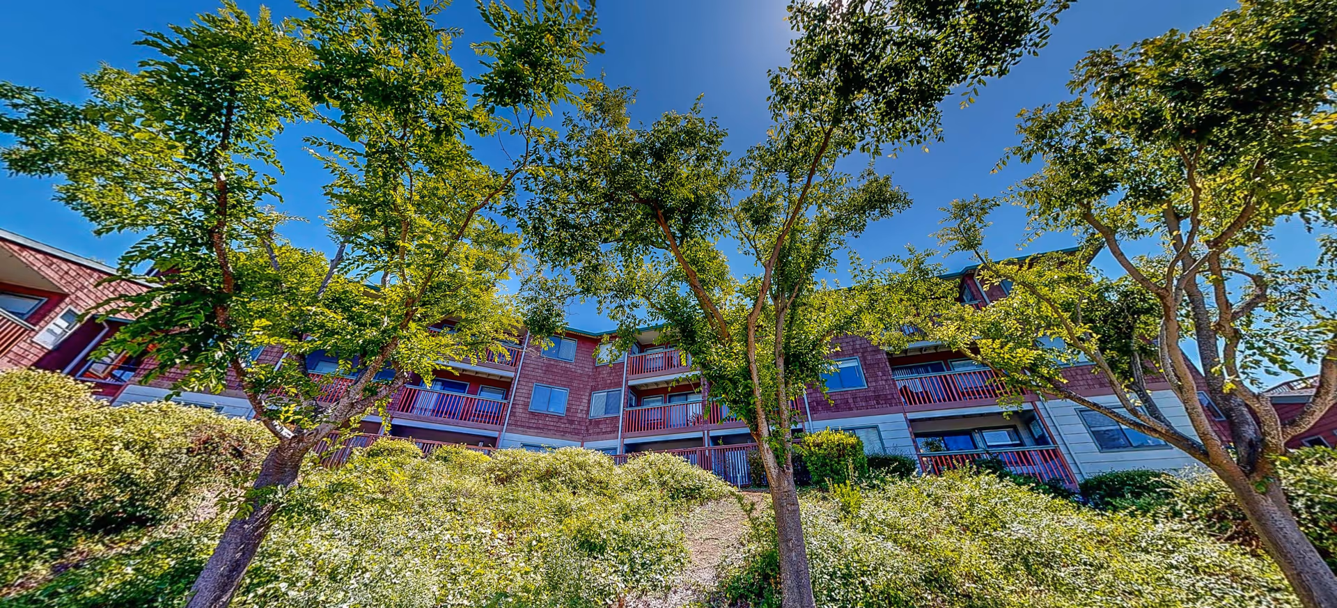 Photo of Cogir of Vallejo Hills Senior Living