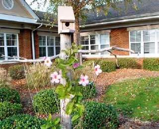 Photo 4 of The Palmettos of Mauldin
