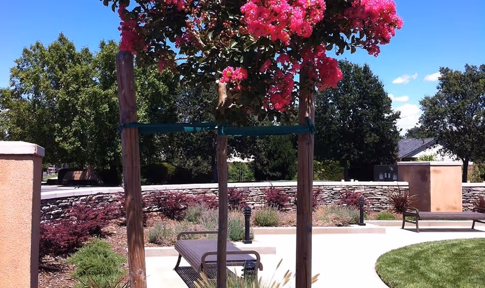 Photo 9 of Amber Grove Place Memory Care
