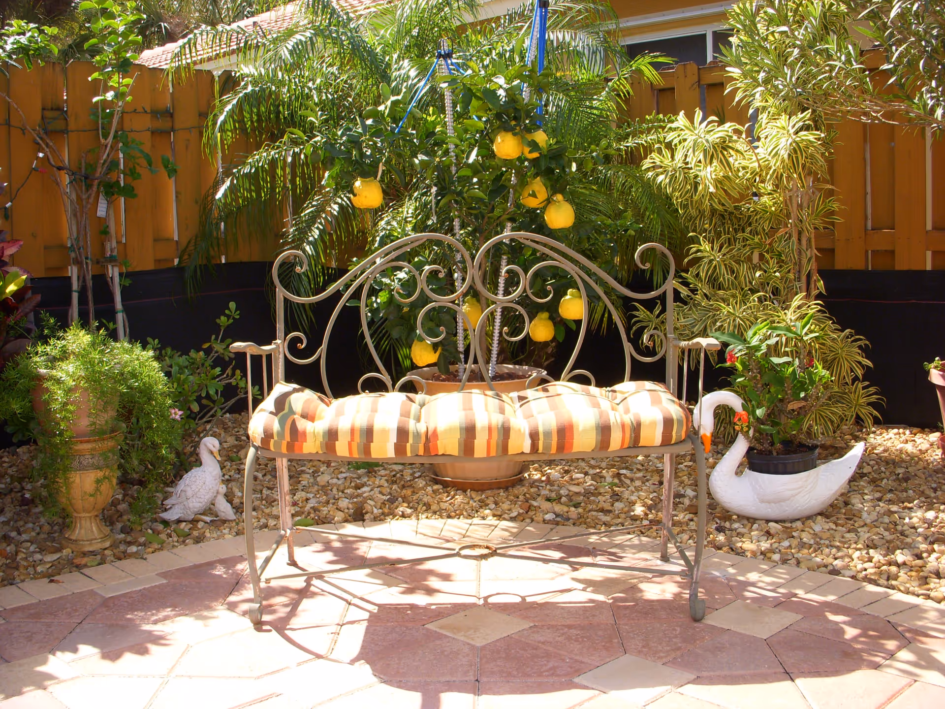 Photo 5 of Holy Garden ALF of Hollywood