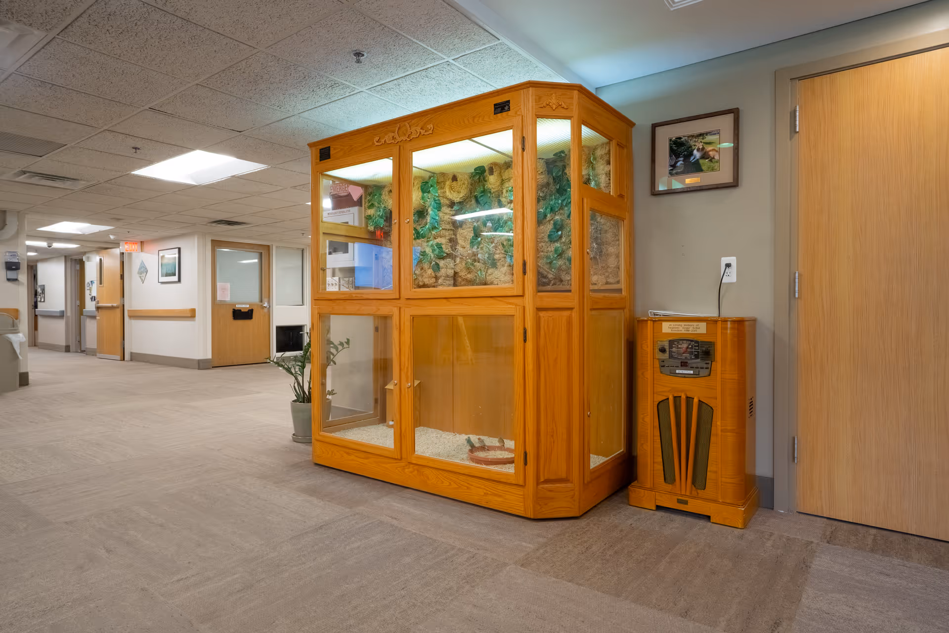 Photo 11 of Intersect Healthcare of Grandville