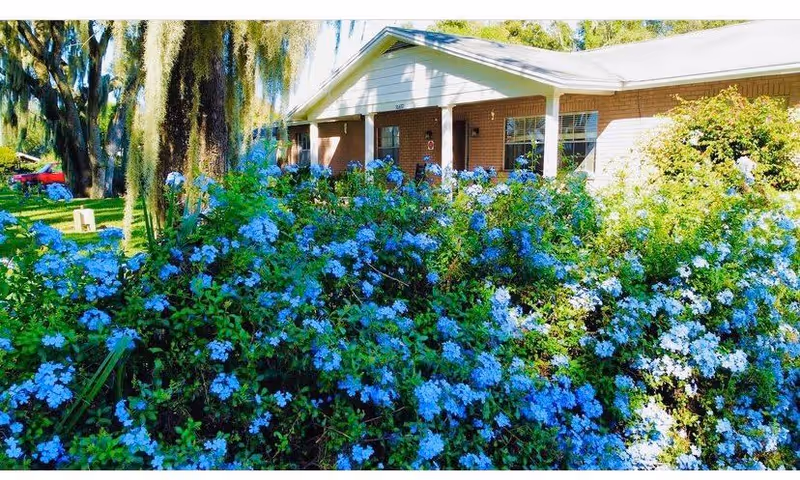 Photo 7 of Pinecrest Place