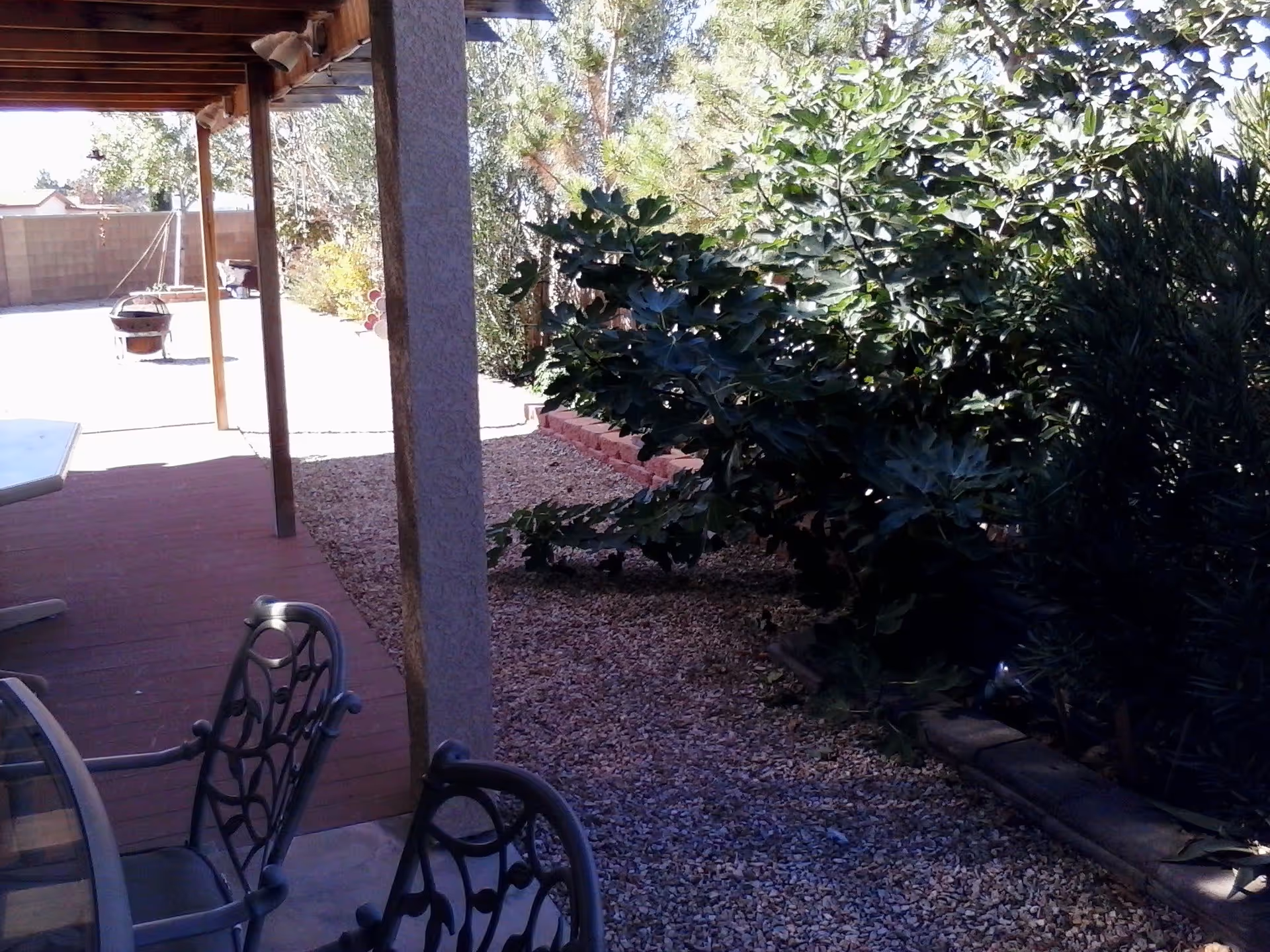Photo 5 of Desert Song