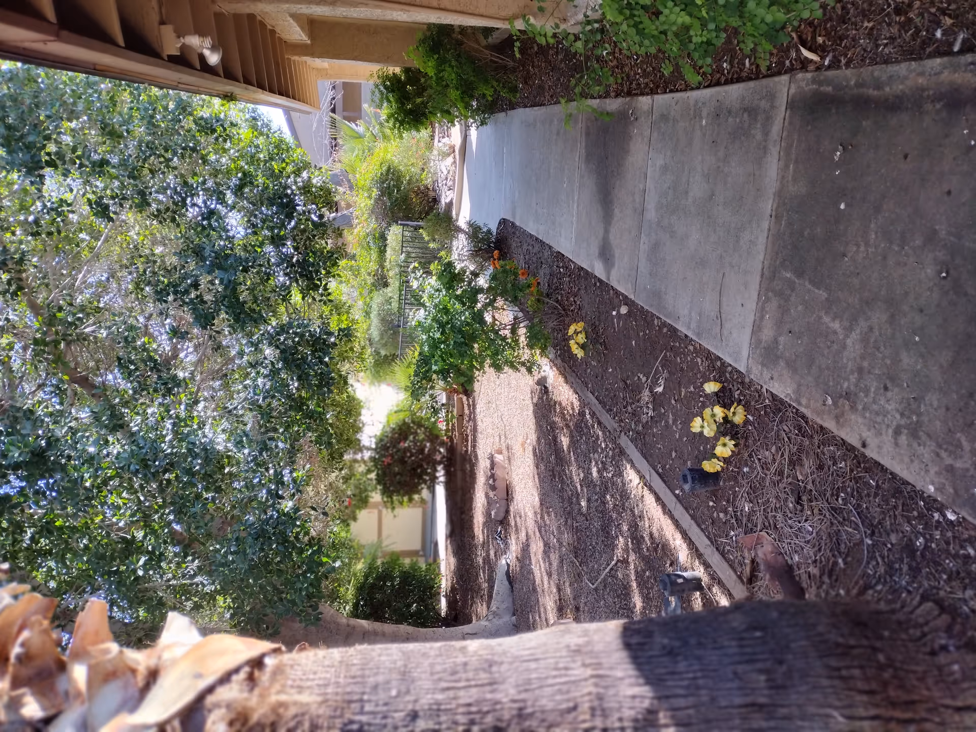 Photo 5 of Golden Eagle Assisted Living Home