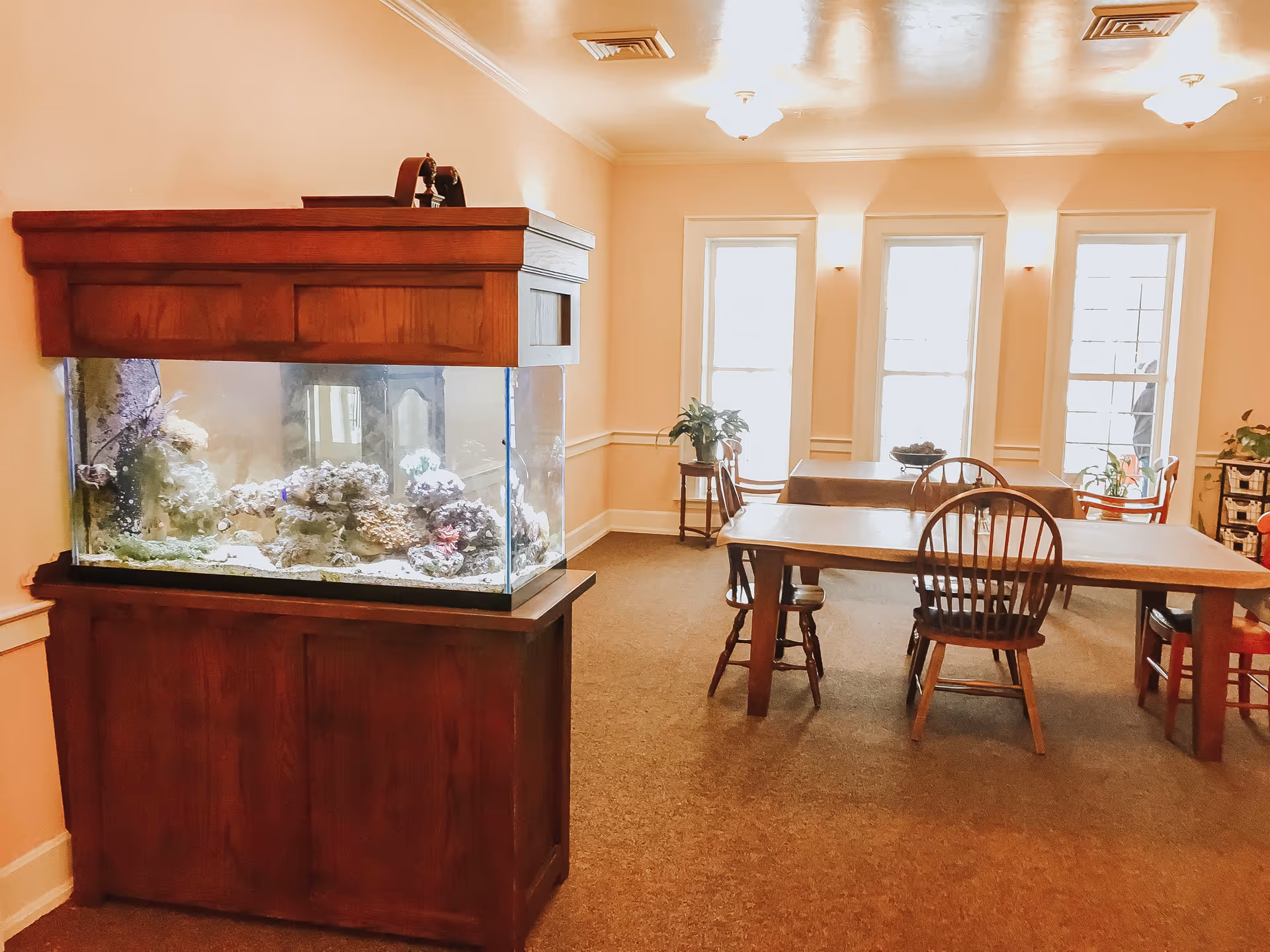 Photo 6 of Tambree Meadows Assisted Living