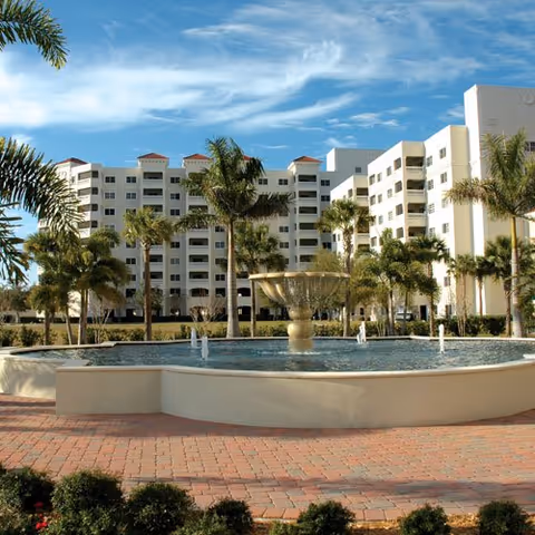 Photo of Jacaranda Trace
