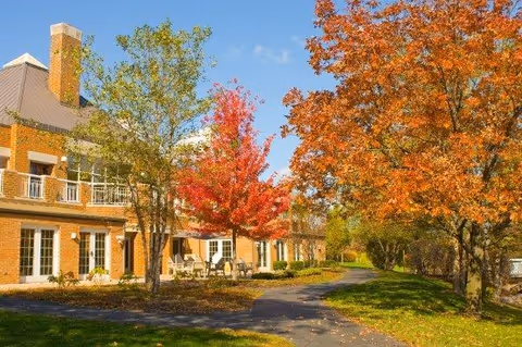Photo 3 of Peace Village